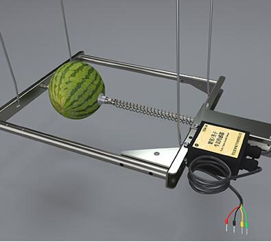 树干生长传感器、西瓜生长传感器