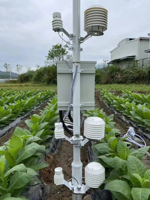 云南烟草种植基地墒情气象监测系统安装落成！